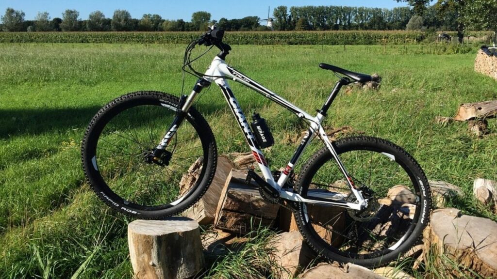 10 Best Cheap Mountain Bikes under 200 in [current_year] (Review)