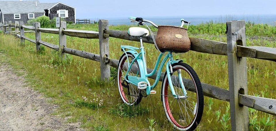 beach cruiser bike handlebars