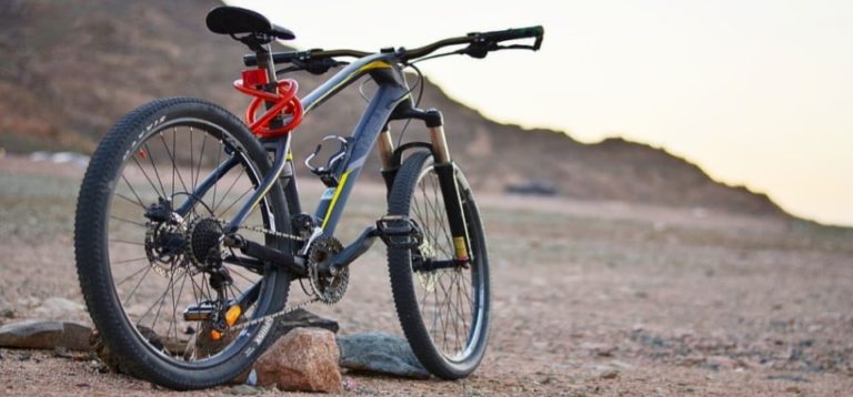 10 Best Cross-Country Mountain Bikes in 2021 (Review)